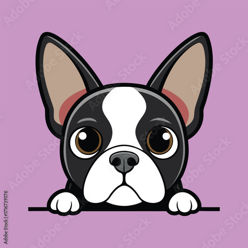 Boston Terrier svg