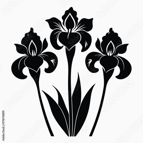 Three Iris Flowers Silhouette Illustration Black Floral Motif Against a Clean Background