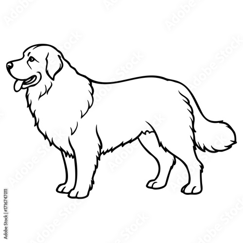 Cute golden retriever dog standing in profile
