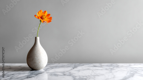 Orange cosmos flower in vase on marble table against gray background