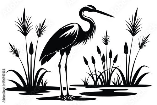 Elegant Heron Silhouette Standing Amidst Cattails and Reeds in a Water Landscape Drawing