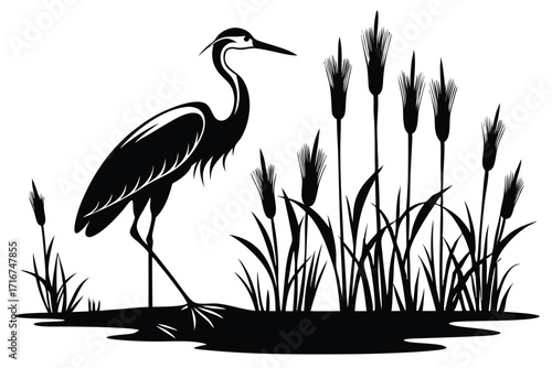 Black Silhouette of a Great Blue Heron Standing Among Cattails in the Marsh