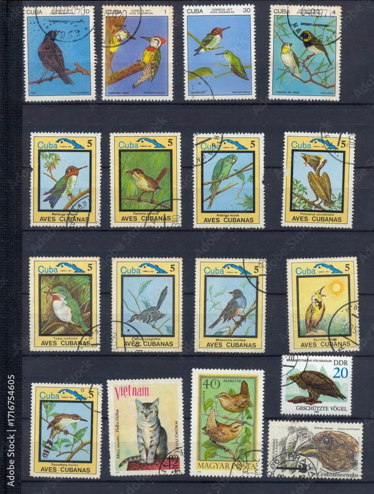 Obraz premium Celebrating Nature Through Commemorative Stamps Featuring Diverse Fauna From Around the World