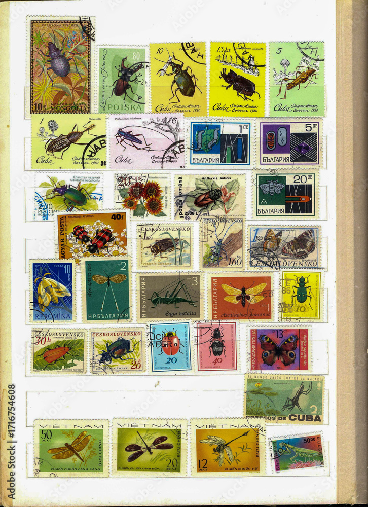 Obraz premium This Collection Showcases an Array of Used Commemorative Postage Stamps Highlighting Various Fauna