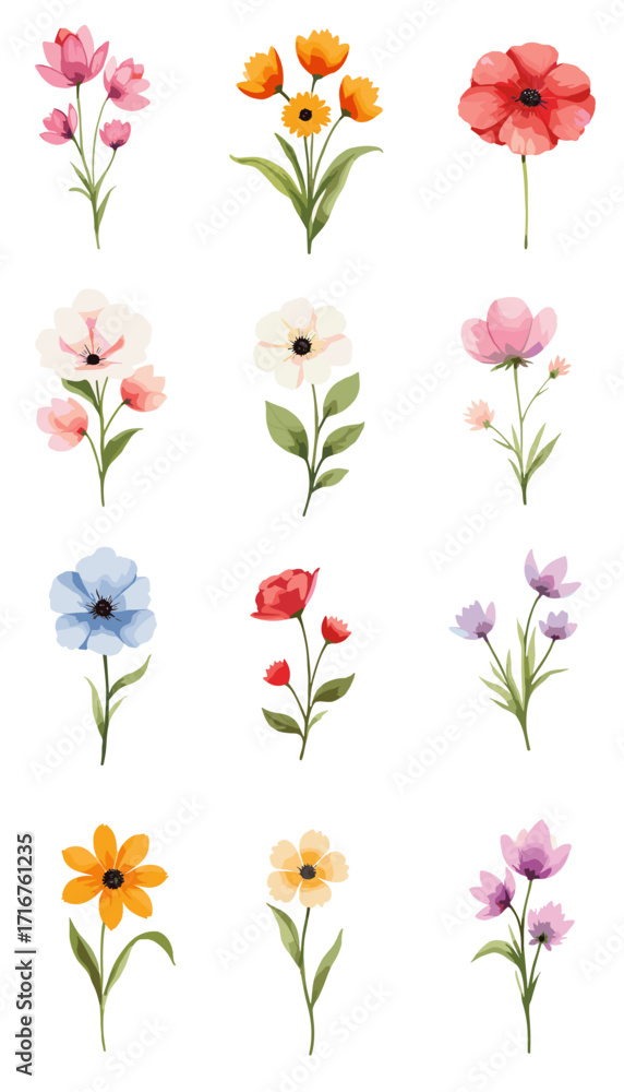 happy women day, women day banner, women day background, happy women day, women month, international women day, women day, women background, day background, women banner, day banner, women history mon