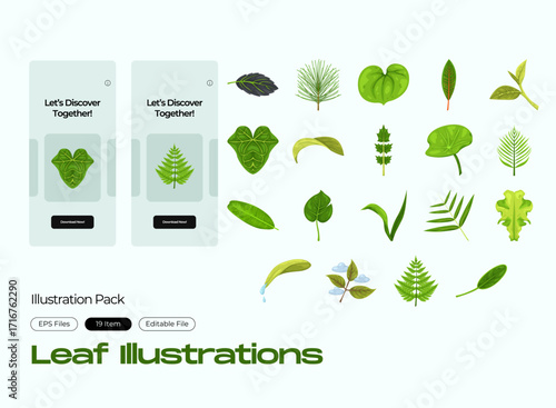 Illustration of leaf, Illustration set