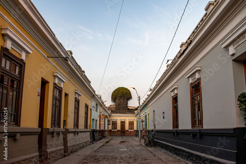 Podobny obraz