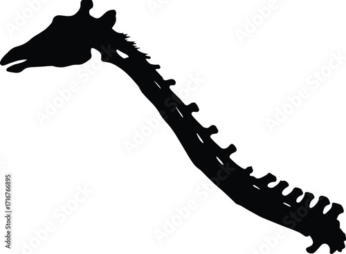 Giraffe Bone Vector, Silhouette Design in Nature, High-Quality Graphic Viewpoint for Creative Concepts