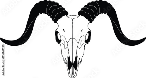 Dynamic Vector Illustration of a Black Animal Bone Skull, Captured in a Minimalist Style for Creative Use in Nature and Art Projects