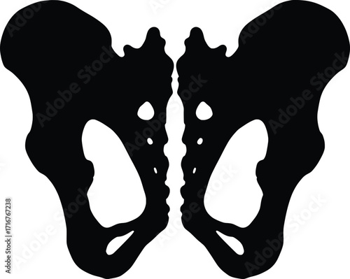 Dynamic Vector Illustration of Animal Bone Structures in Nature, High-Resolution Silhouettes Showcasing Unique Designs for Scientific Overview