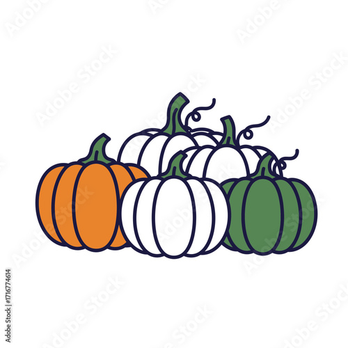 Colorful pumpkins in various shades arranged for autumn decorations  