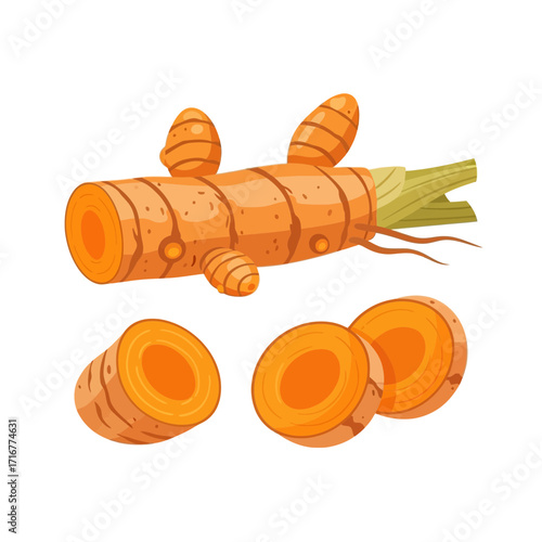 Fresh turmeric root and slices on white background  