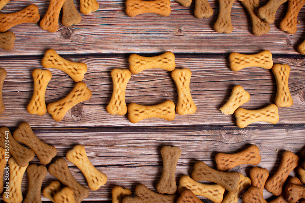 Fototapeta premium Dog food in different variations