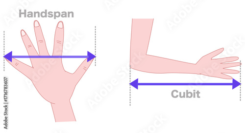 Cubit, handspan. Body parts to measure the length. Distance between the tip of the elbow to the tip of the middle finger is called a cubit. Thumb and the little finger is called a hand span. Vector 