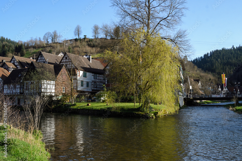 Obraz premium Schiltach village in Germany by the river