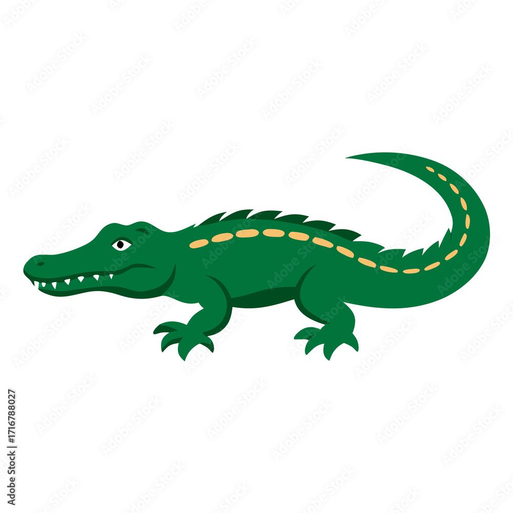 Naklejka premium crocodile isolated on white