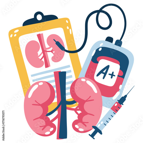 Kidneys Vector Illustration. Flat Minimal Design. Editable Illustration for Web, Mobile, Print