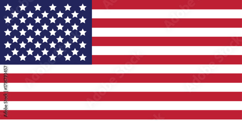 american flag on a white background