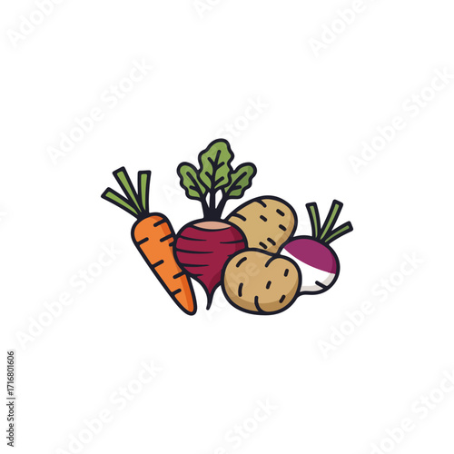 Fresh root vegetables assortment includes carrot, beet, potato, and turnip.  Root vegetable collection features healthy organic produce perfect for farm market or grocery store.