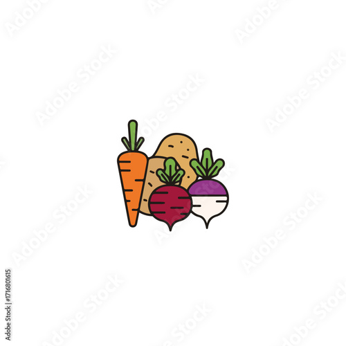 Root vegetable illustration featuring carrot, potato, beetroot and turnip. Colorful root vegetable drawing perfect for farm market, cookbook, or healthy food blog.