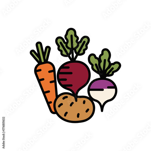 Root vegetable assortment with carrot, beetroot, turnip, and potato. Fresh root vegetables are healthy and nutritious food.  Root vegetable illustration perfect for cookbook, farm market ad,