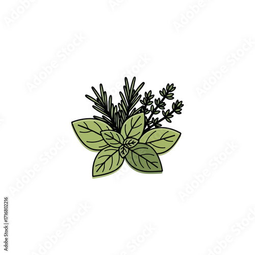Herbal arrangement on white background features various fresh herbs. This arrangement showcases fresh greenery and flavorful leaves, a culinary essential.