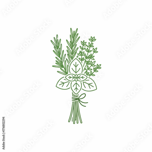 Green herbs illustration with rosemary, thyme, and basil in hand tied bundle. Fresh herbs concept as delicate line art, perfect for cooking or cosmetic use. Simple herbs design for recipe books,
