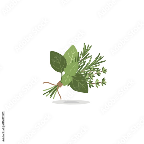Fresh herbs in small tied bunch with rosemary, thyme, and sage arranged against white background. Fresh herbs offer culinary versatility and aromatic qualities, embodying natural flavors.