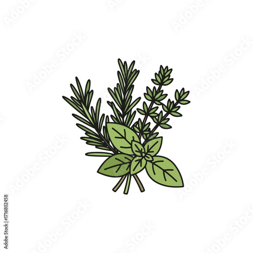 Herbs arrangement showcases basil, thyme, and rosemary on white background. Fresh herbs bunch, a fragrant collection, features aromatic basil, thyme, and rosemary, perfect for culinary use.