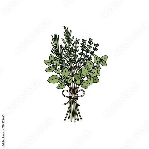 Herb bouquet with rosemary, thyme, and oregano is displayed in bunch on white background. Herb bouquet includes flavorful components: green herbs, fresh ingredients, and organic leaves.
