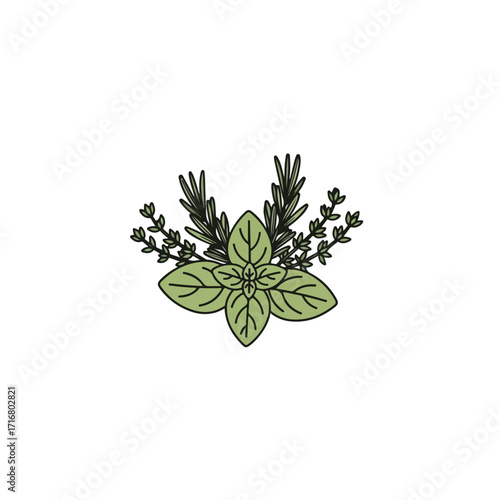 Arrangement of fresh herbs with basil and rosemary presents aromatic elements. Fresh herbs are neatly displayed, exhibiting leaves of culinary delight,