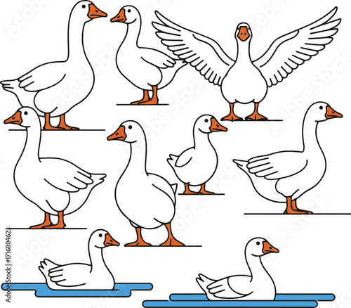 A vibrant illustration showcases a diverse collection of geese in various poses. Nine adult geese are depicted in dynamic stances, including standing, walking, and with wings outstretched. 