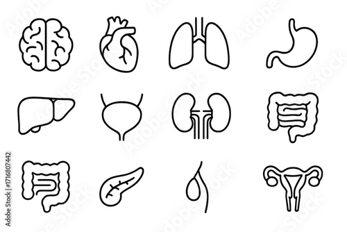 Human organs thin line icon set. Medical and anatomy vector collection. Includes brain, heart, lungs, stomach, liver, kidneys, intestine. Editable stroke for science and health design.