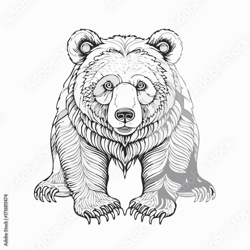 engrave isolated bear illustration vector sketch linear art