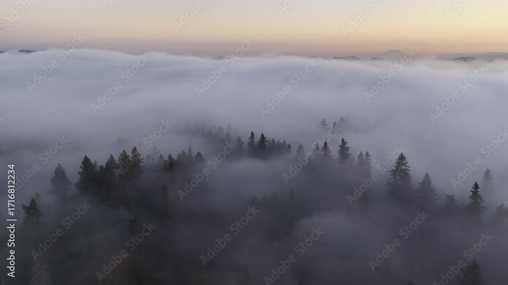Dawn illuminates fog drifting through the forests found throughout the Willamette Valley in Oregon. The entire Pacific Northwest region is known for its vast forests and moist, temperate weather.