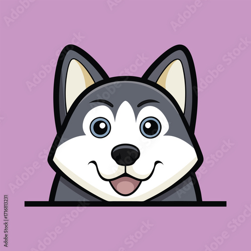 Alaskan Malamute dog