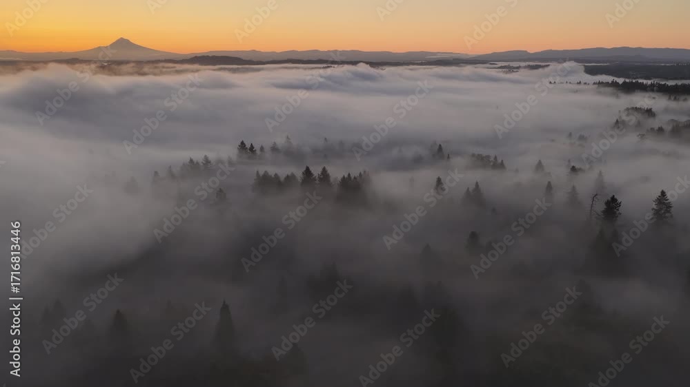 Dawn illuminates fog drifting through the forests found throughout the Willamette Valley in Oregon. The entire Pacific Northwest region is known for its vast forests and moist, temperate weather.