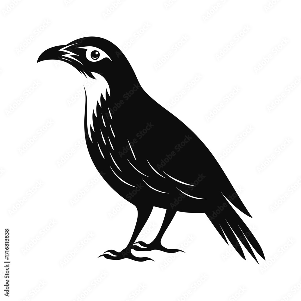 Fototapeta premium Elegant flightless bird silhouette in side profile