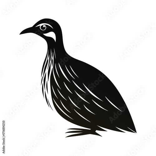 Elegant giant flightless bird side profile illustration