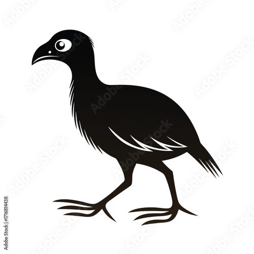 Graceful giant flightless bird silhouette walking