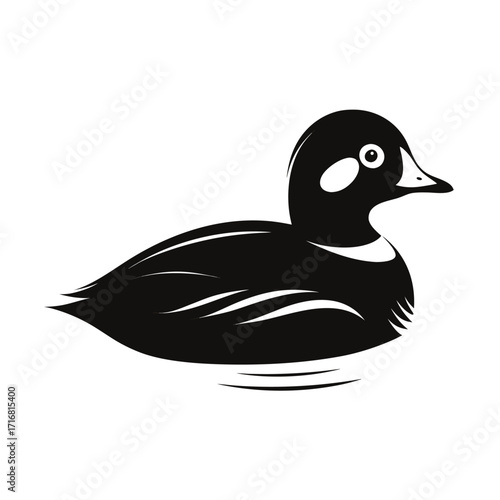 Elegant harlequin duck silhouette swimming gracefully
