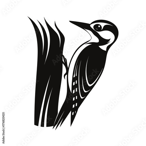 A large woodpecker perched on a tree trunk