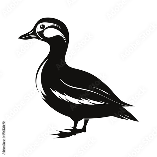 Medium sized duck standing calmly in bold silhouette