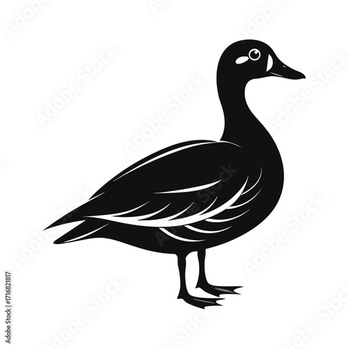 Medium sized duck standing calmly bold silhouette