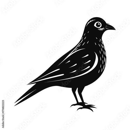 Medium sized flightless bird in side profile illustration