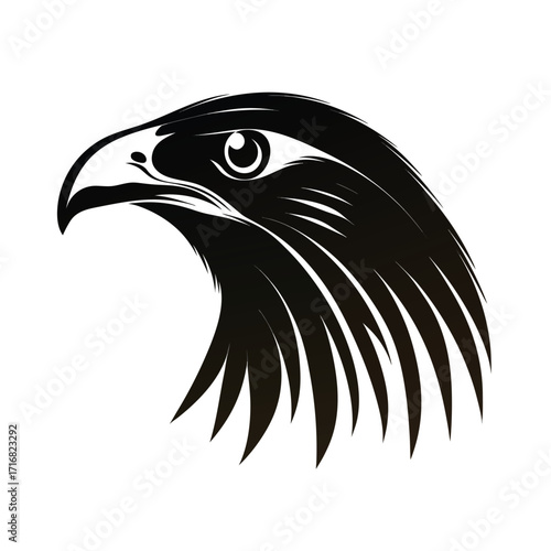 Elegant mynah bird silhouette on white background