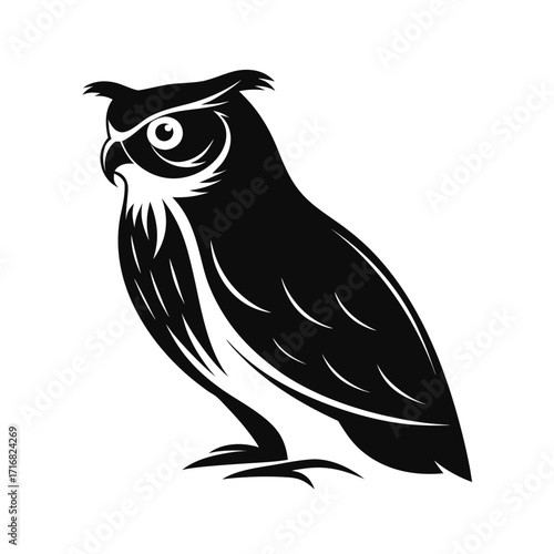 A nocturnal owl perched silently in striking silhouette