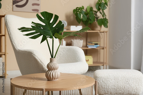 Monstera deliciosa plant in...