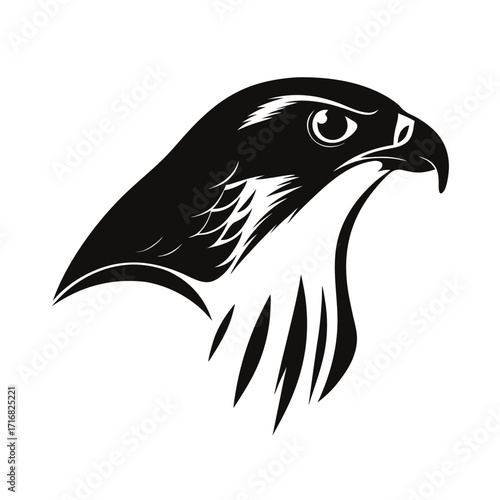 Silhouette of a raptor bird in hunting pose