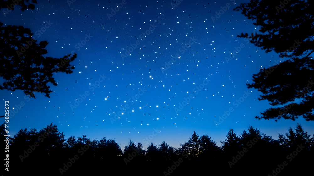 Fototapeta premium Night sky over forest